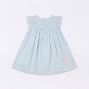 Vintage Pastel Blue Ruffle Embroidered Dress For Baby Girls